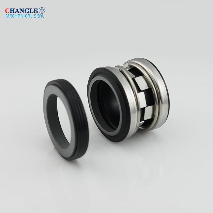 Type 1 Mechanical Seal